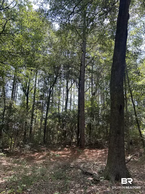 0 Dixie Rd, Brewton, AL 36426 photo 4
