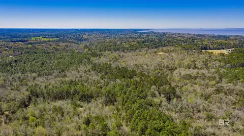 0 Johnson Rd, Daphne, AL 36526 photo 13