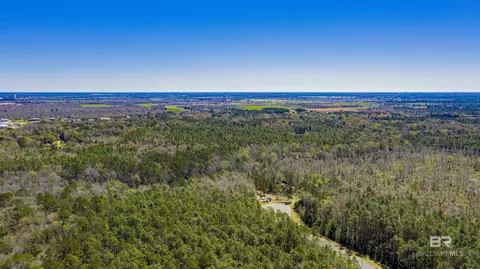 0 Johnson Rd, Daphne, AL 36526 photo 11