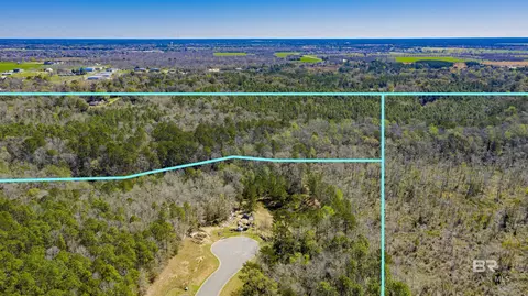 0 Johnson Rd, Daphne, AL 36526 photo 8