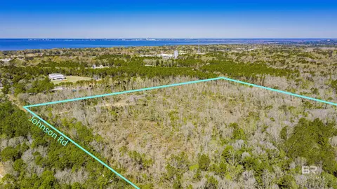 0 Johnson Rd, Daphne, AL 36526 photo 3