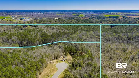0 Johnson Rd, Daphne, AL 36526 photo 8