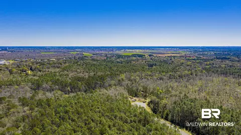 0 Johnson Rd, Daphne, AL 36526 photo 11