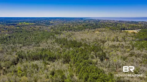 0 Johnson Rd, Daphne, AL 36526 photo 13