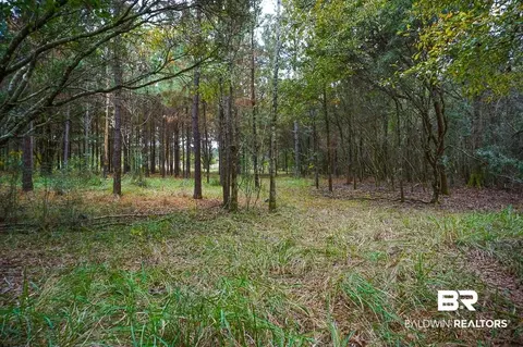 0 Smith Young Rd, Mobile, AL 36695 photo 5