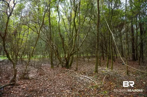 0 Smith Young Rd, Mobile, AL 36695 photo 4