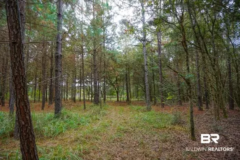 0 Smith Young Rd, Mobile, AL 36695 photo 7
