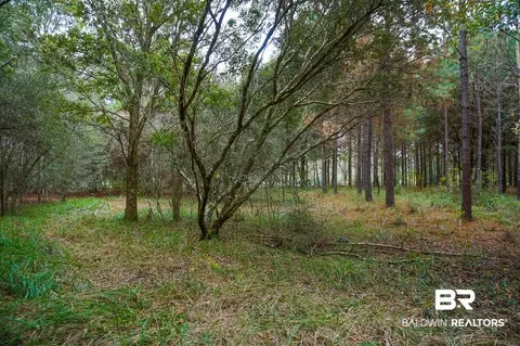 0 Smith Young Rd, Mobile, AL 36695 photo 6