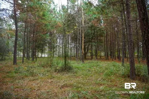 0 Smith Young Rd, Mobile, AL 36695 photo 8