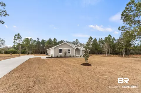 11072 Tall Timber Ln, Elberta, AL 36530 photo 3