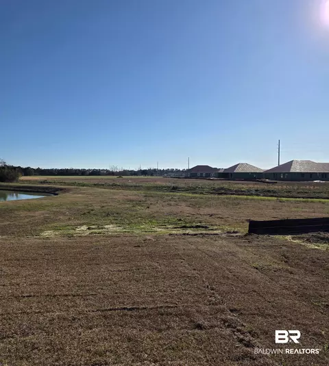 28084 Hallow Trl, Elberta, AL 36530 photo 20