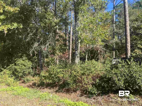 0 Bayou Cypress Dr, Coden, AL 36523 photo 2