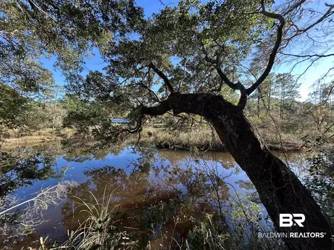 0 Bayou Shores Dr, Coden, AL 36523 photo 5