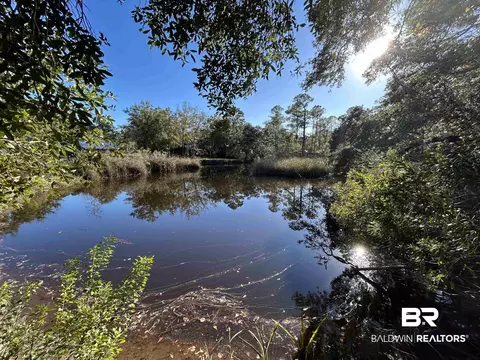 0 Bayou Shores Dr, Coden, AL 36523 photo 6