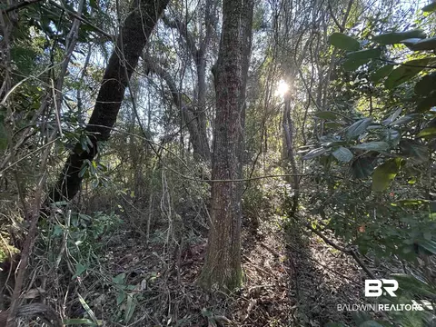 0 Bayou Shores Dr, Coden, AL 36523 photo 3