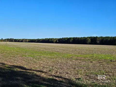 0 Three Mile Rd, Atmore, AL 36502