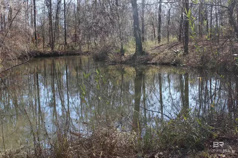 Heron Point Drive, Lowndesboro, AL 36752