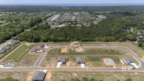View/Area - 27331 Patch Place Loop, Daphne, AL 36526 photo 5 of 9