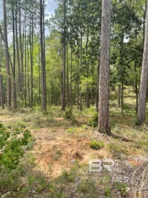 0 Elderberry Dr, Daphne, AL 36526