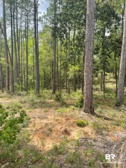 0 Elderberry Dr, Daphne, AL 36526 photo 1