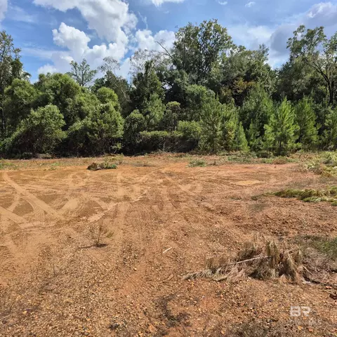 0 W Front St, Evergreen, AL 36401