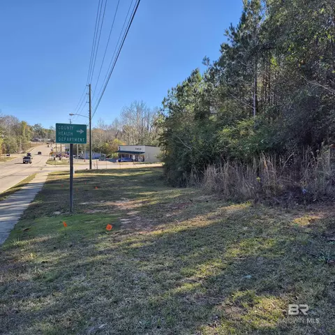 0 Liberty Hill Dr, Evergreen, AL 36401