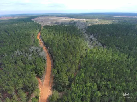 0 Griggers Rd, Robertsdale, AL 36567