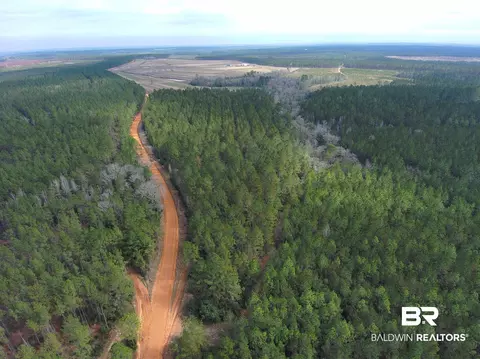 0 Griggers Rd, Robertsdale, AL 36567