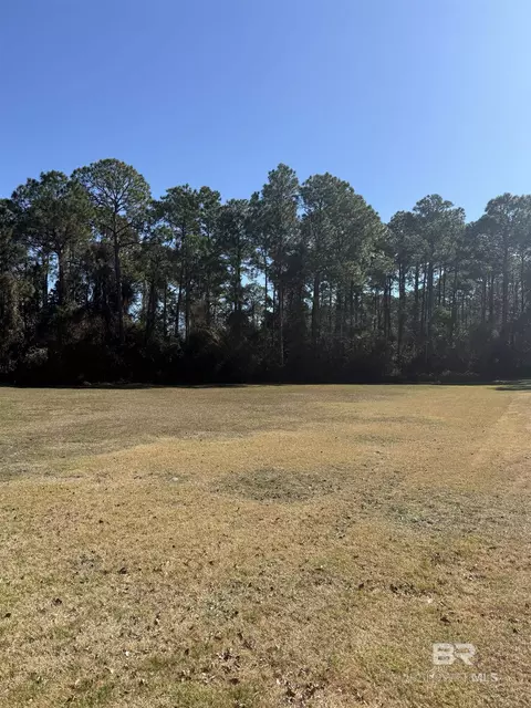 22483 Beaver Creek Ln, Orange Beach, AL 36561