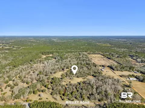 16691 Mosley Rd, Stapleton, AL 36578 photo 26