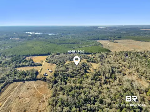 16691 Mosley Rd, Stapleton, AL 36578 photo 22