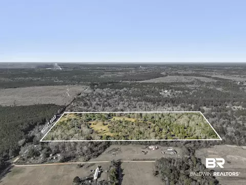 16691 Mosley Rd, Stapleton, AL 36578 photo 5