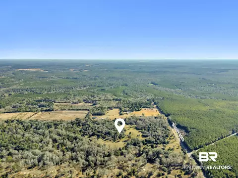16691 Mosley Rd, Stapleton, AL 36578 photo 24