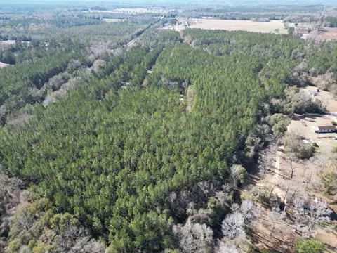 0 Old Fannie Rd, Flomaton, AL 36441