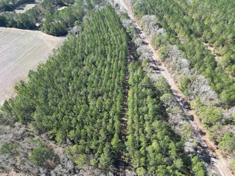 01 Clifton Ln, Flomaton, AL 36441