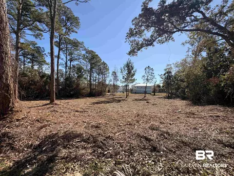 5306 Pine Rd, Orange Beach, AL 36561