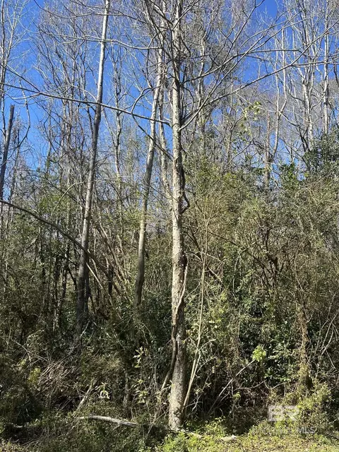 Abernathy Avenue, Bay Minette, AL 36507