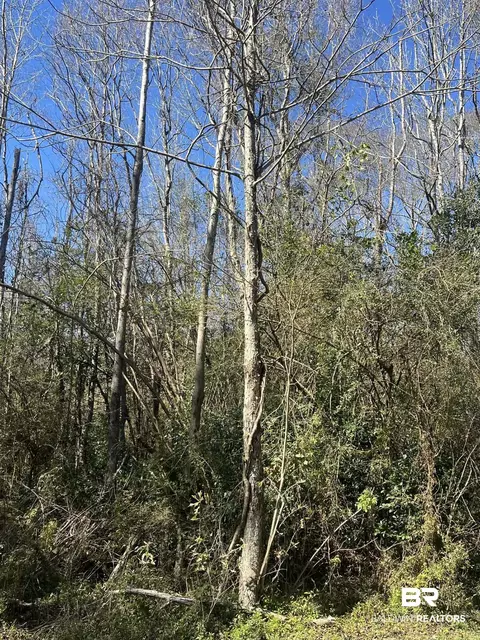 Abernathy Avenue, Bay Minette, AL 36507