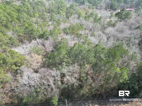 00 Highway 41, Range, AL 36473 photo 10