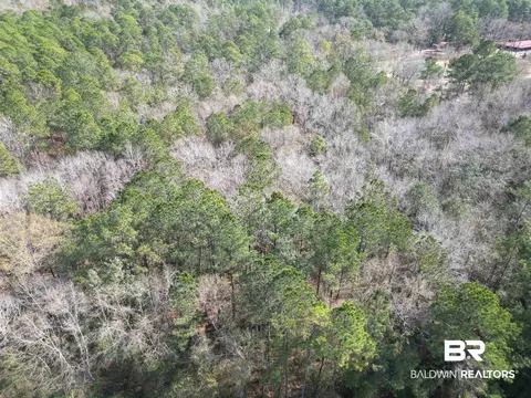 00 Highway 41, Range, AL 36473 photo 9