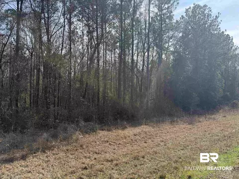 00 Highway 41, Range, AL 36473 photo 7