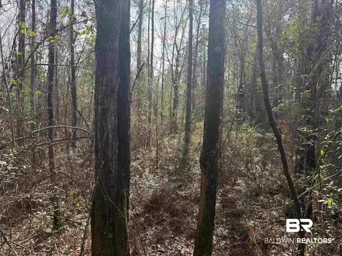 00 Highway 41, Range, AL 36473 photo 6