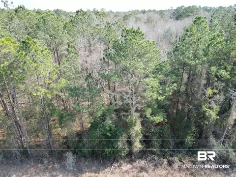 00 Highway 41, Range, AL 36473 photo 2