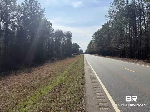 00 Highway 41, Range, AL 36473 photo 4