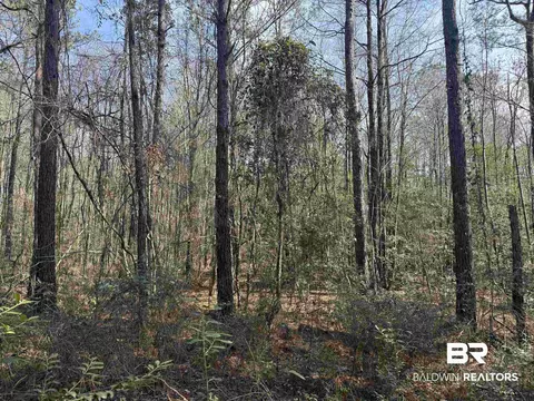 00 Highway 41, Range, AL 36473 photo 5