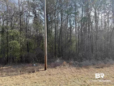 00 Highway 41, Range, AL 36473 photo 3