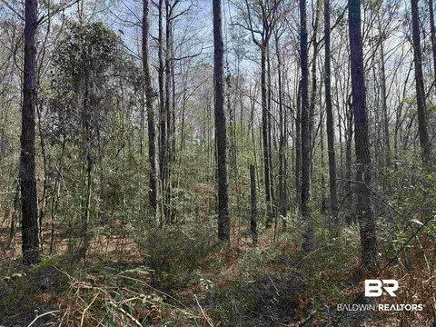 00 Highway 41, Range, AL 36473 photo 1