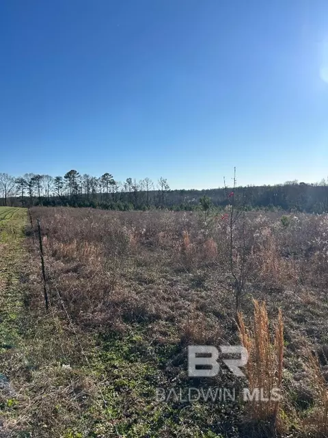 0 W Hwy 84, Evergreen, AL 36401