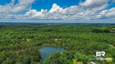0 Loree Rd, Evergreen, AL 36401 photo 4