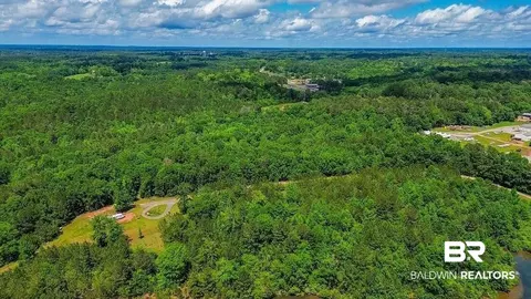 0 Loree Rd, Evergreen, AL 36401 photo 9